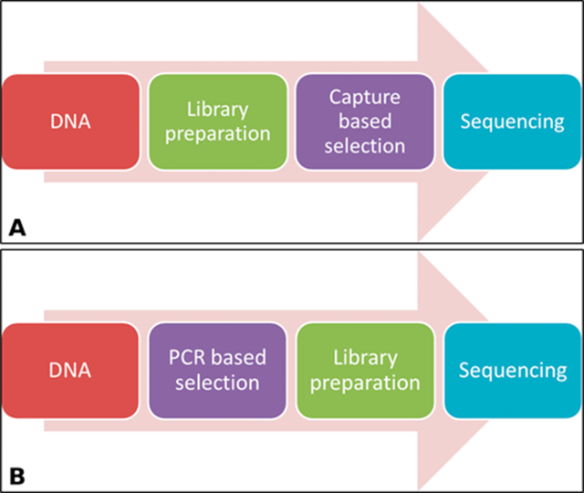 【佳学基因检测13】医院所需要的下一代测序技术（NGS测序）